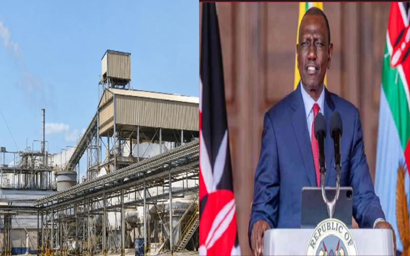 Thumbnail for Tension Escalates as Kenya Expels Tata Chemicals; Indian Conglomerate Denies Violations and Demands Fair Review